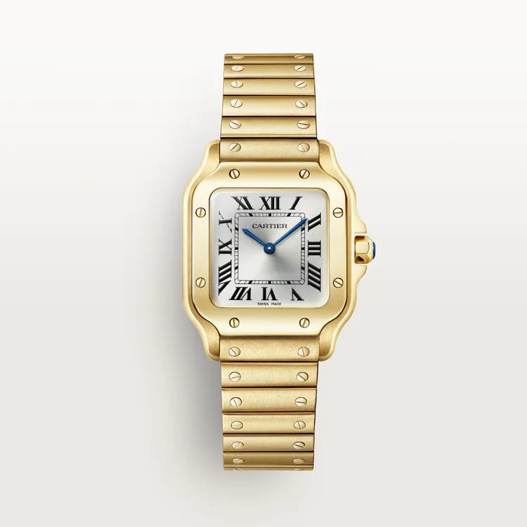 The Santos de Cartier
