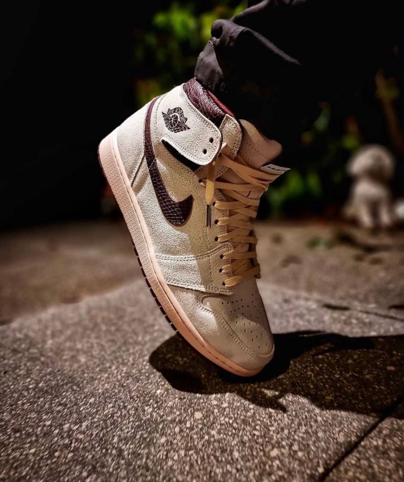 Nike air jordan 1 retro high og a ma manire